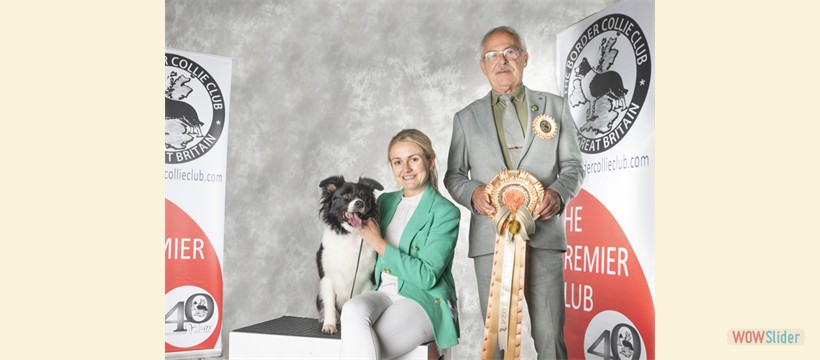 Best In Show Ch Show October 2024 - Arrodare Beautiful Trauma