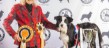 Best in Show Open Show October 2025 - Kirkwind Secret Soul